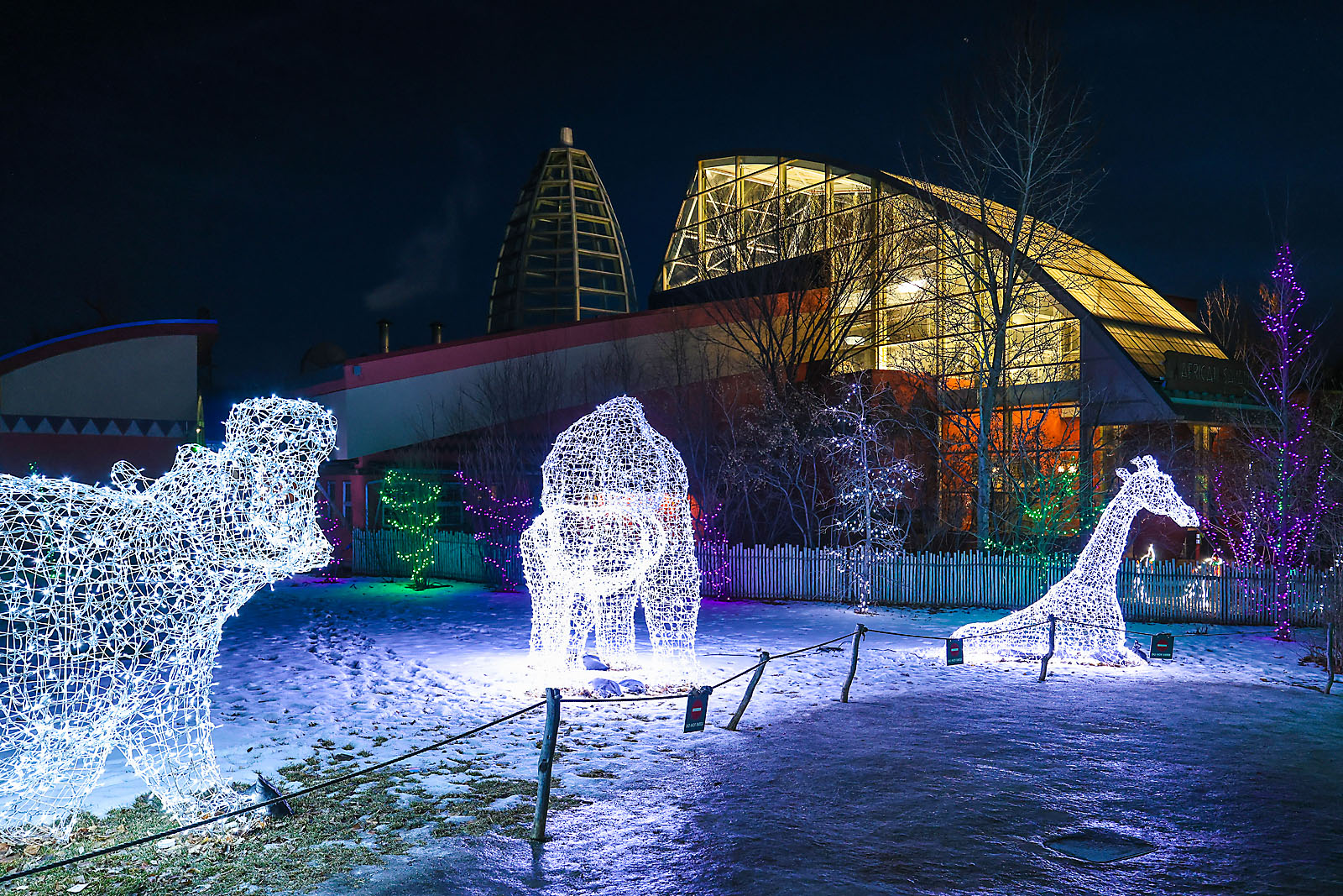 calgary zoolights photographer sergei belski photo