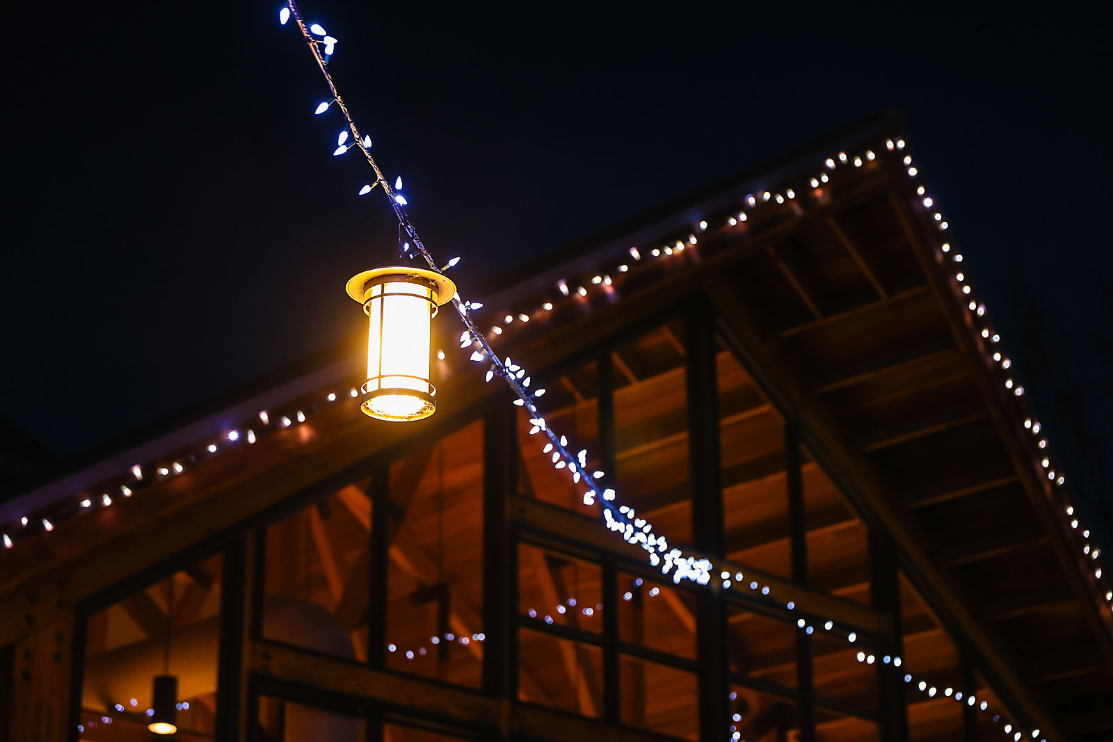 calgary zoolights photographer sergei belski photo