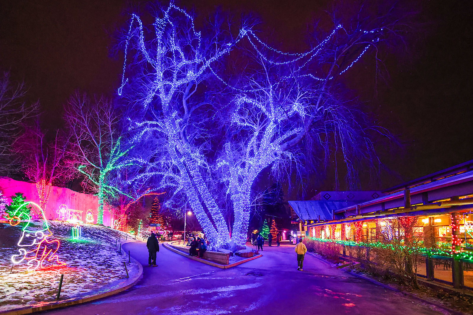calgary zoolights photographer sergei belski photo