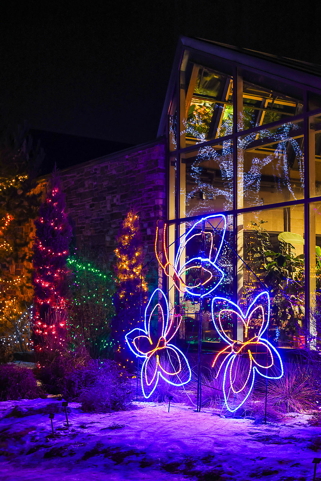 calgary zoolights photographer sergei belski photo