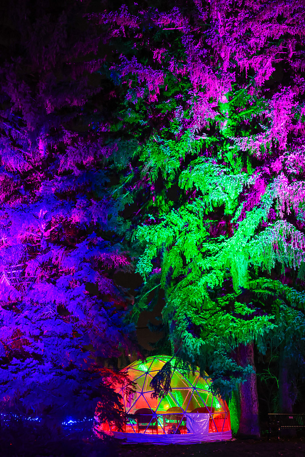 calgary zoolights photographer sergei belski photo