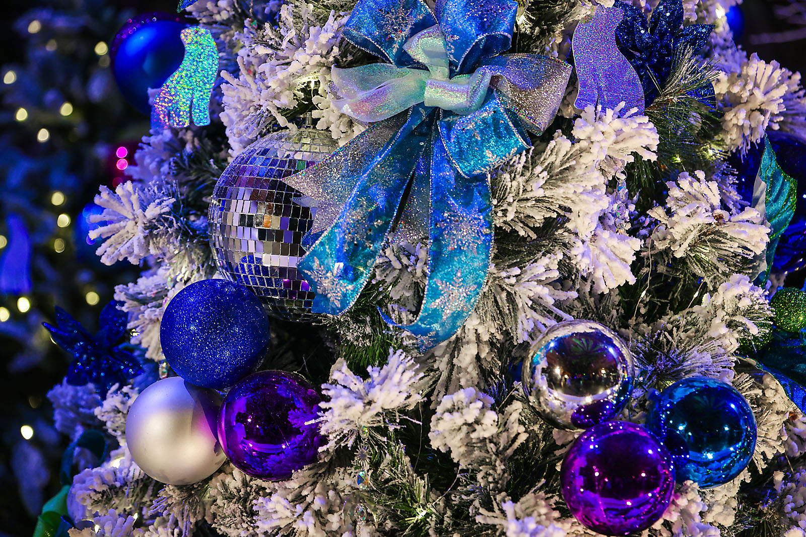 calgary zoolights photographer sergei belski photo