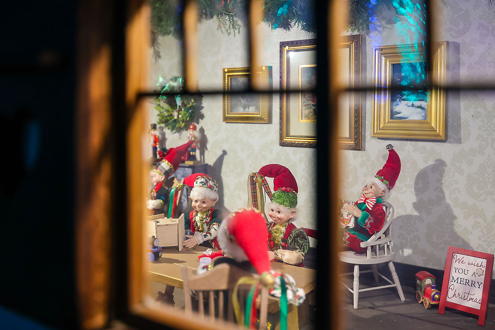 calgary zoolights photographer sergei belski photo