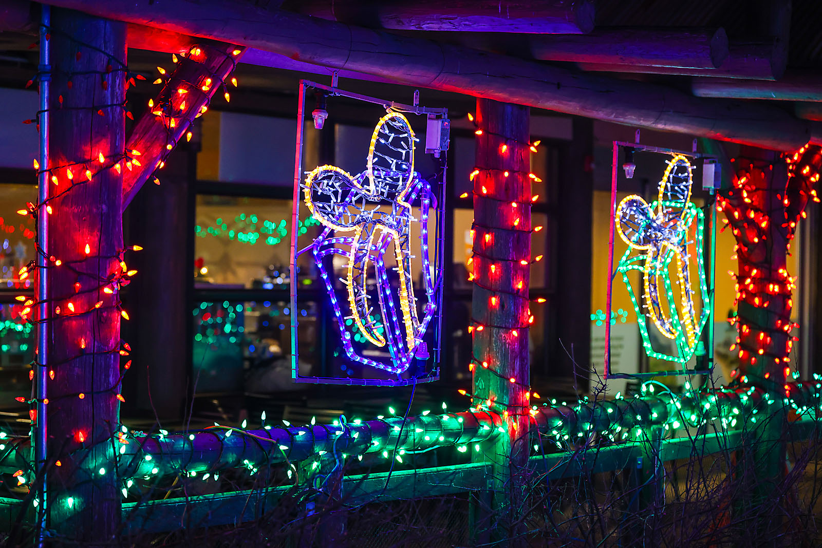 calgary zoolights photographer sergei belski photo