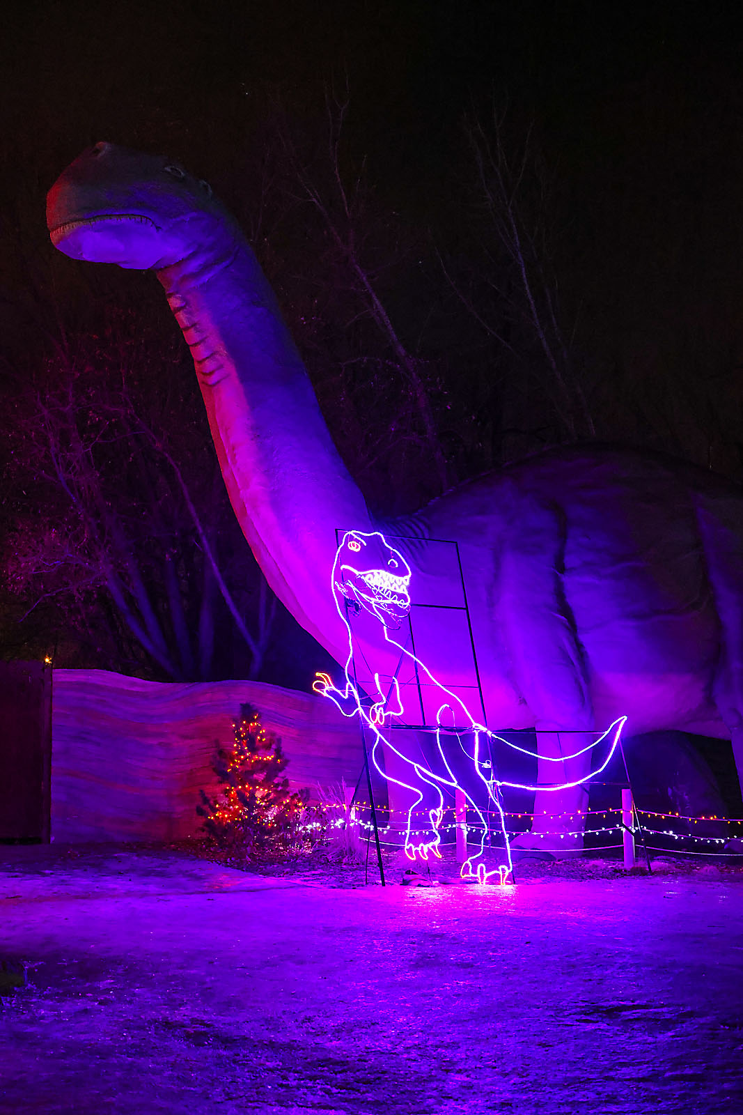 calgary zoolights photographer sergei belski photo