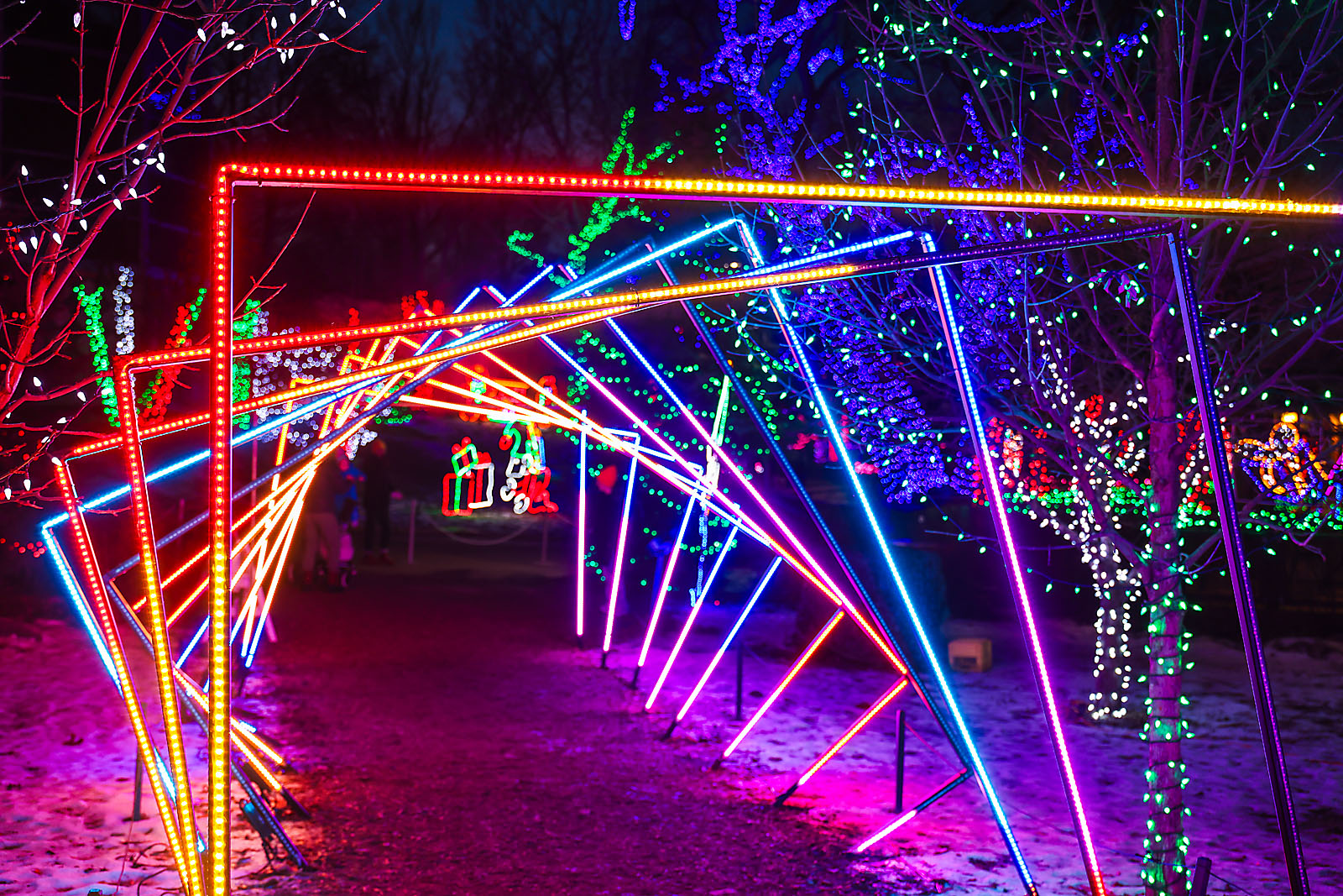 calgary zoolights photographer sergei belski photo