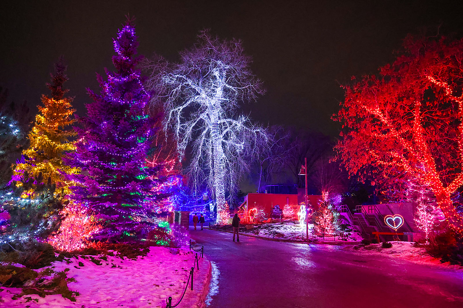 calgary zoolights photographer sergei belski photo