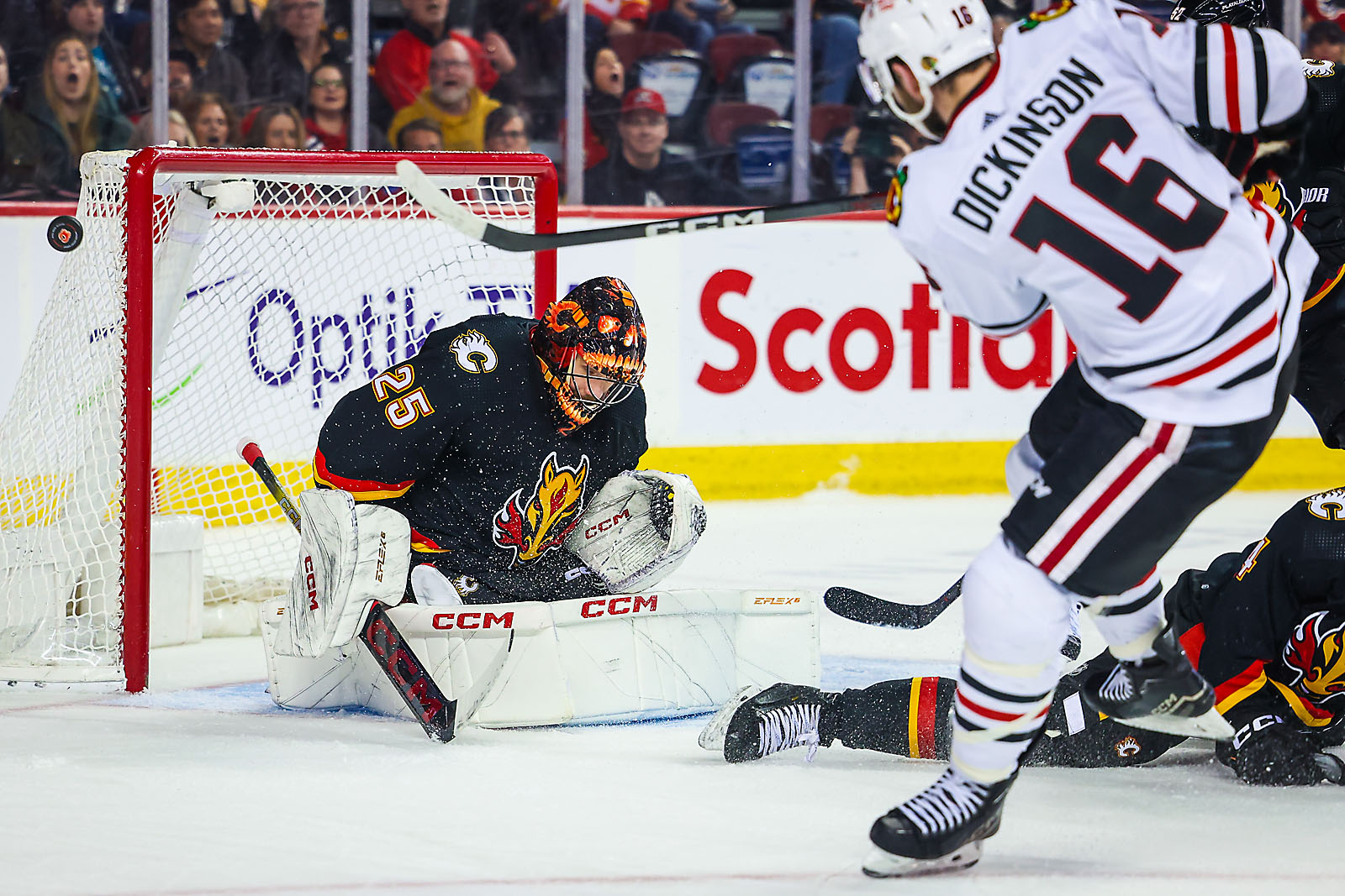 nhl hockey Calgary Flames sports photographer sergei belski photo