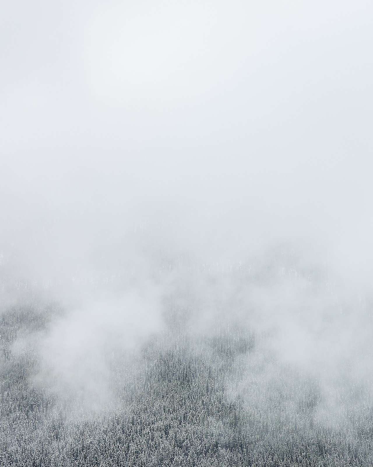 calgary photographer sergei belski photo