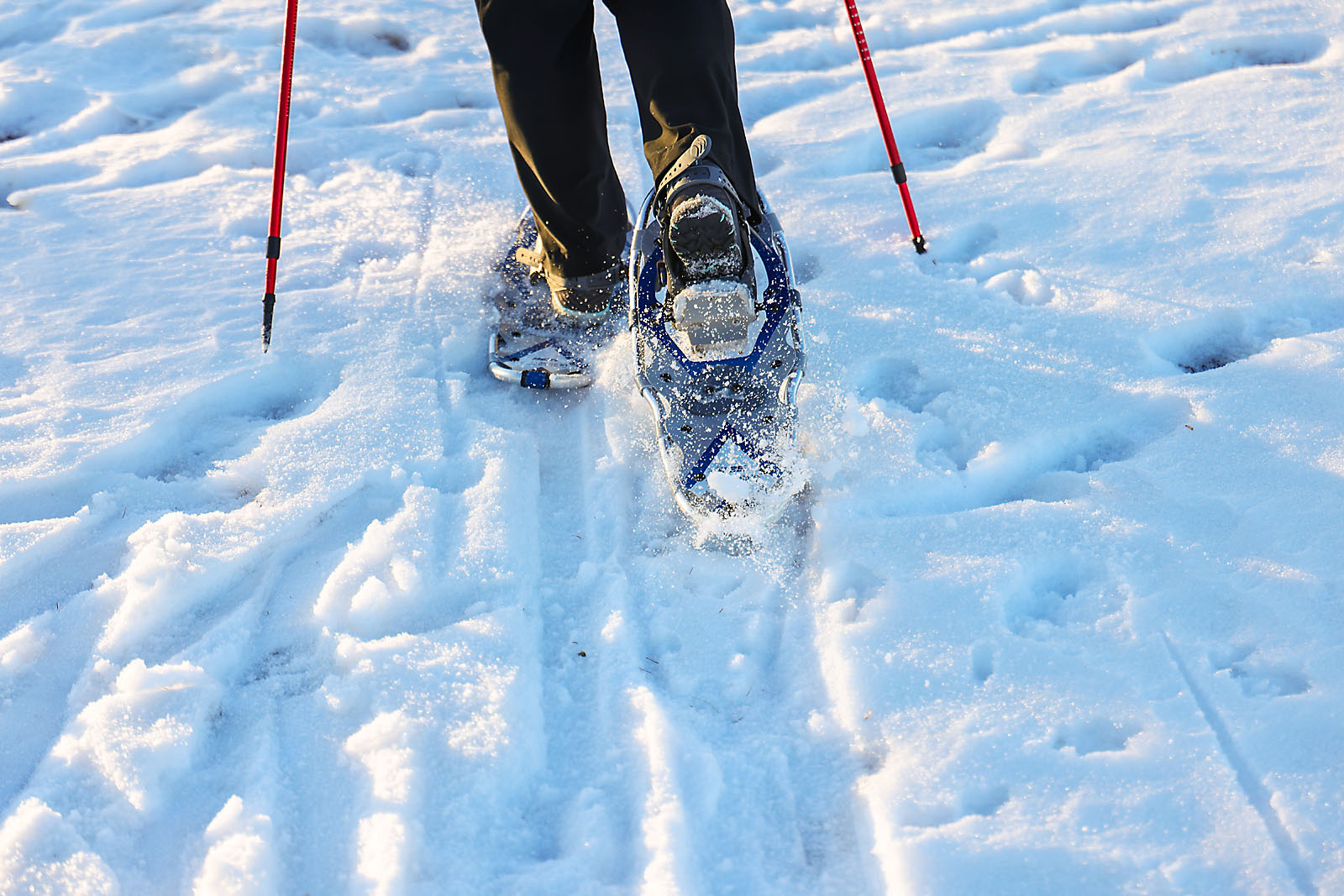 city of airdrie photographer sergei belski photo