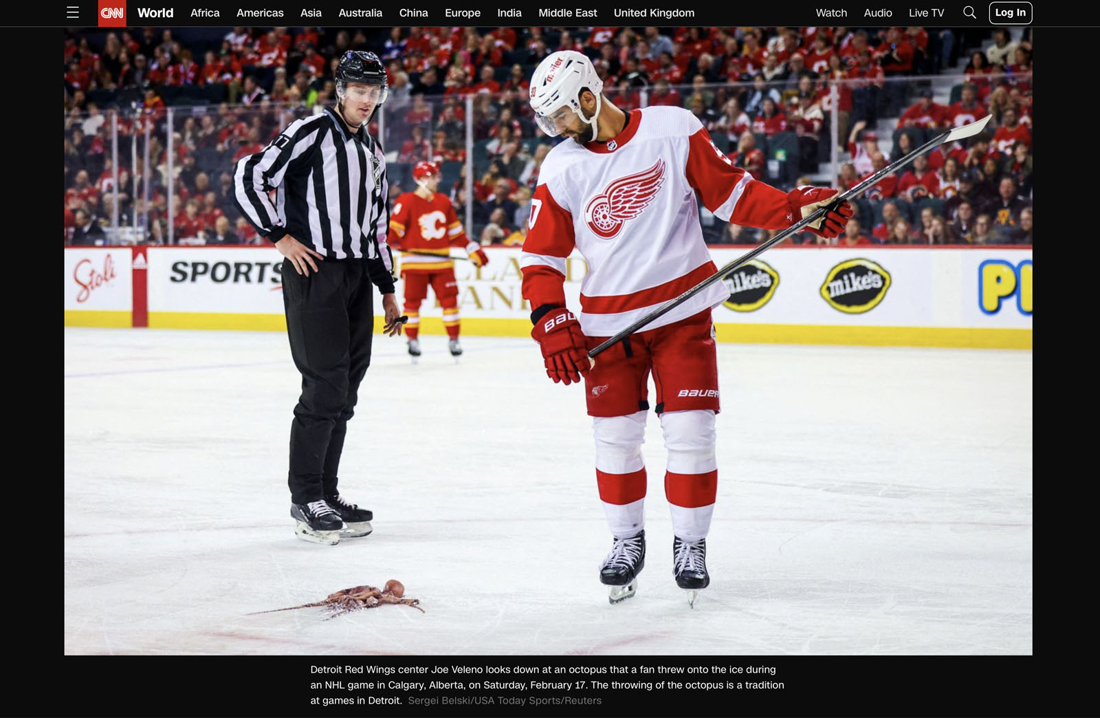 nhl hockey Calgary Flames sports photographer sergei belski photo