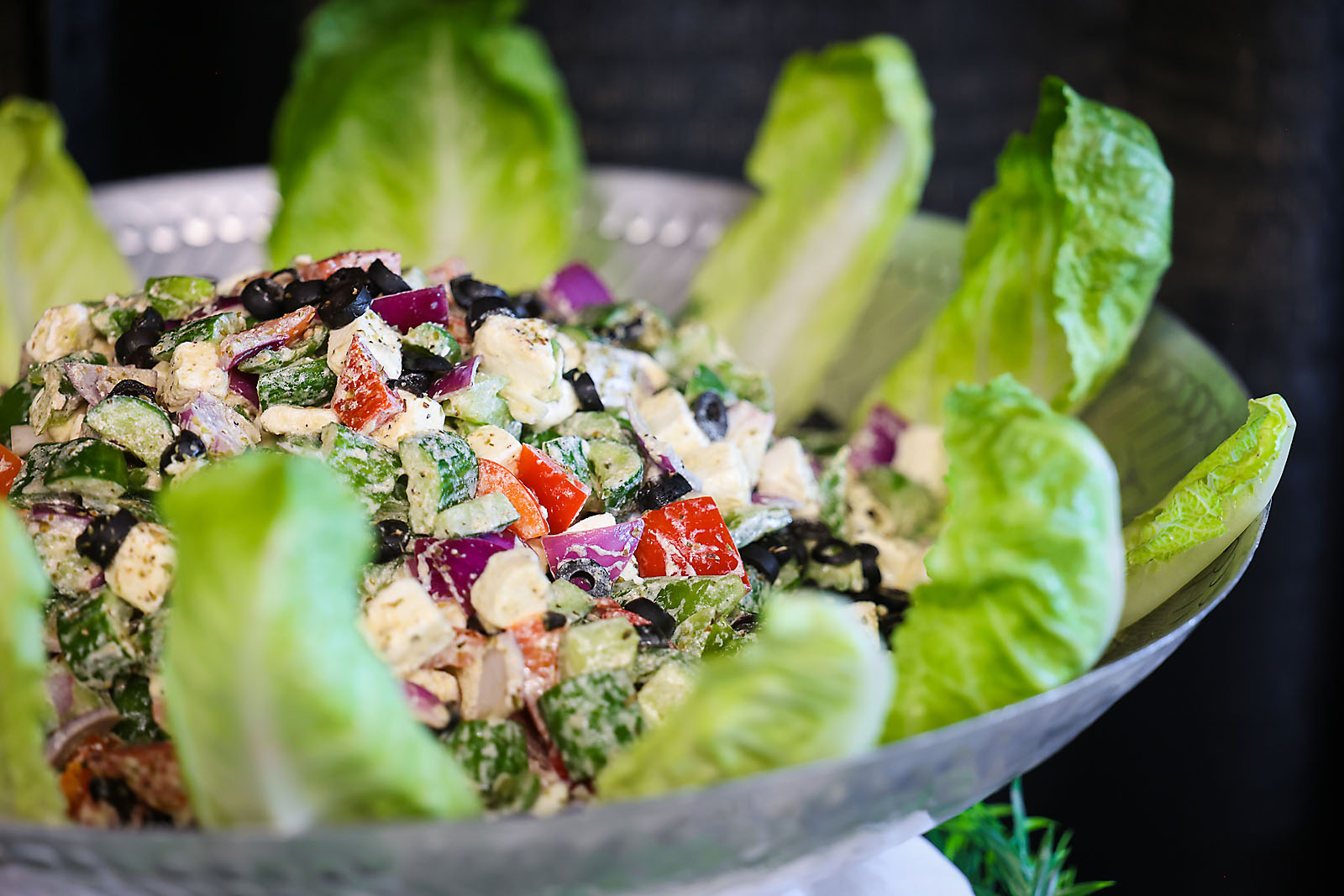 red deer polytechnic event photographer sergei belski photo