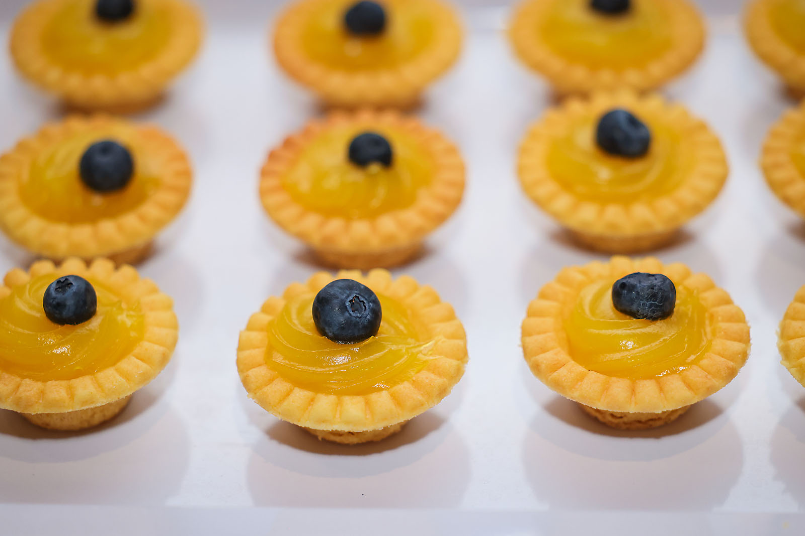 fortis Alberta Edmonton event photographer sergei belski photo