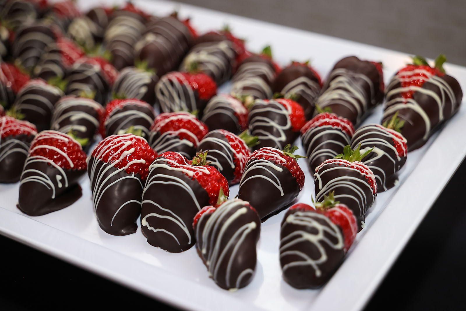 fortis Alberta Edmonton event photographer sergei belski photo