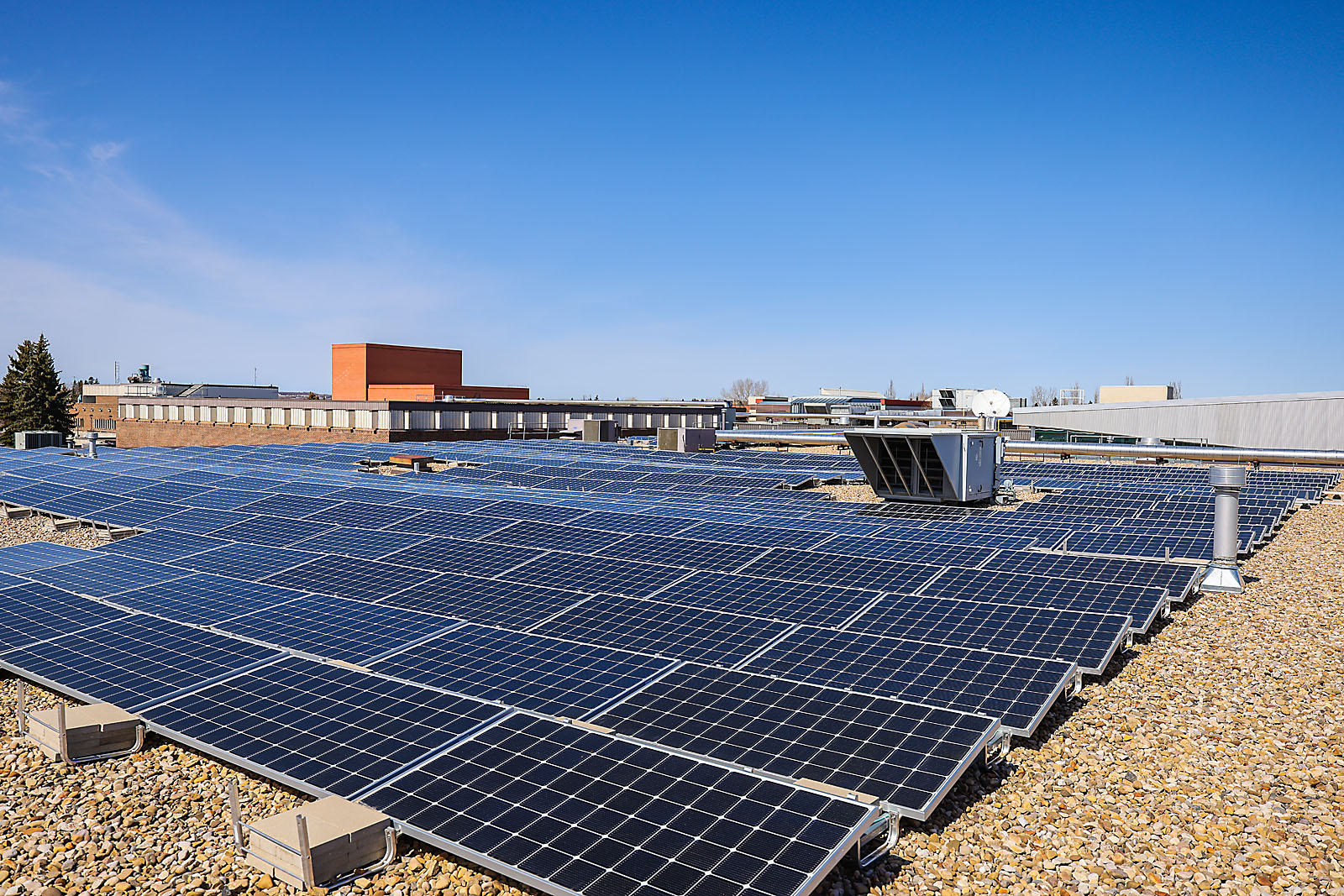 red deer polytechnic commercial photographer sergei belski photo