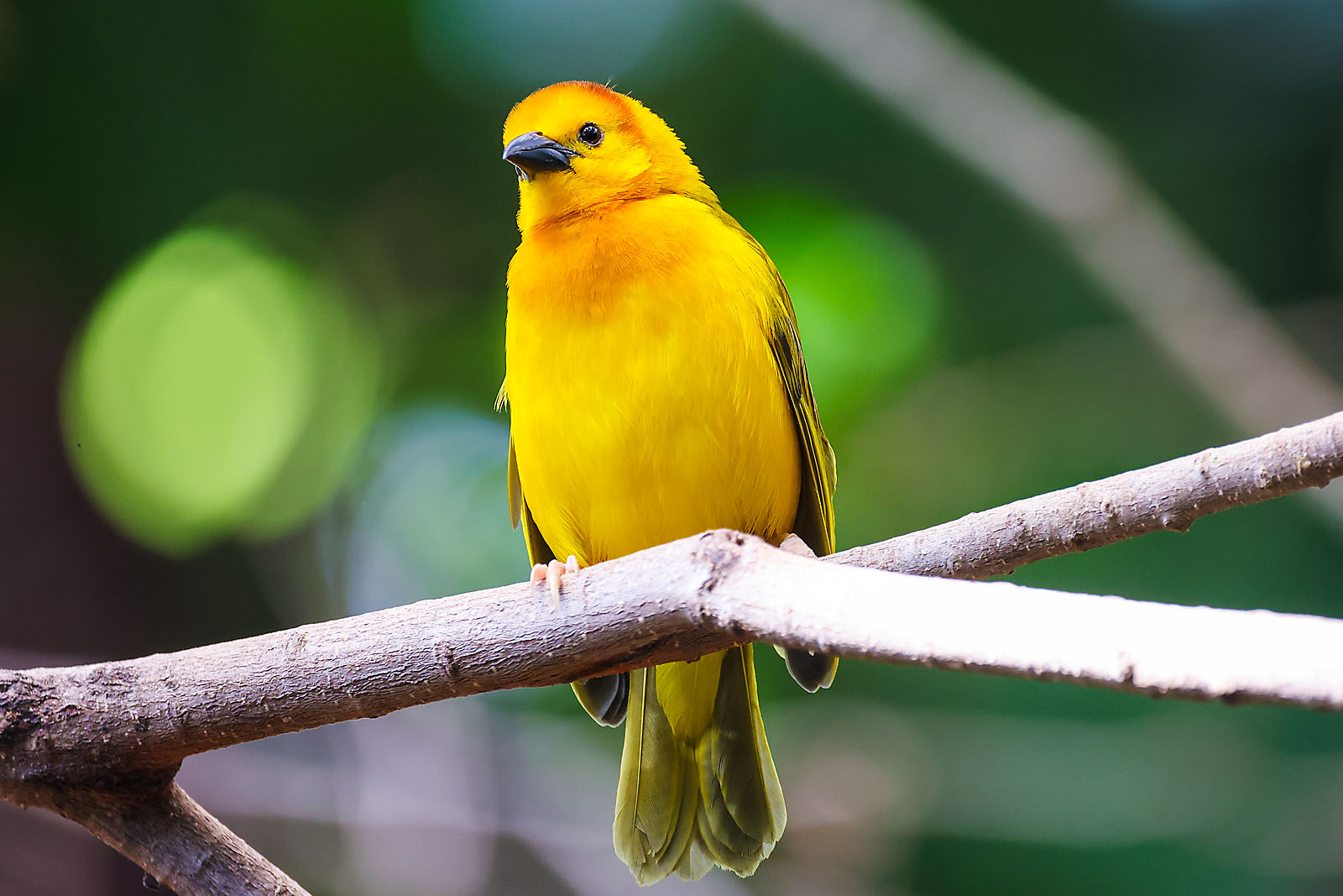 calgary zoo wildlife photographer sergei belski photo