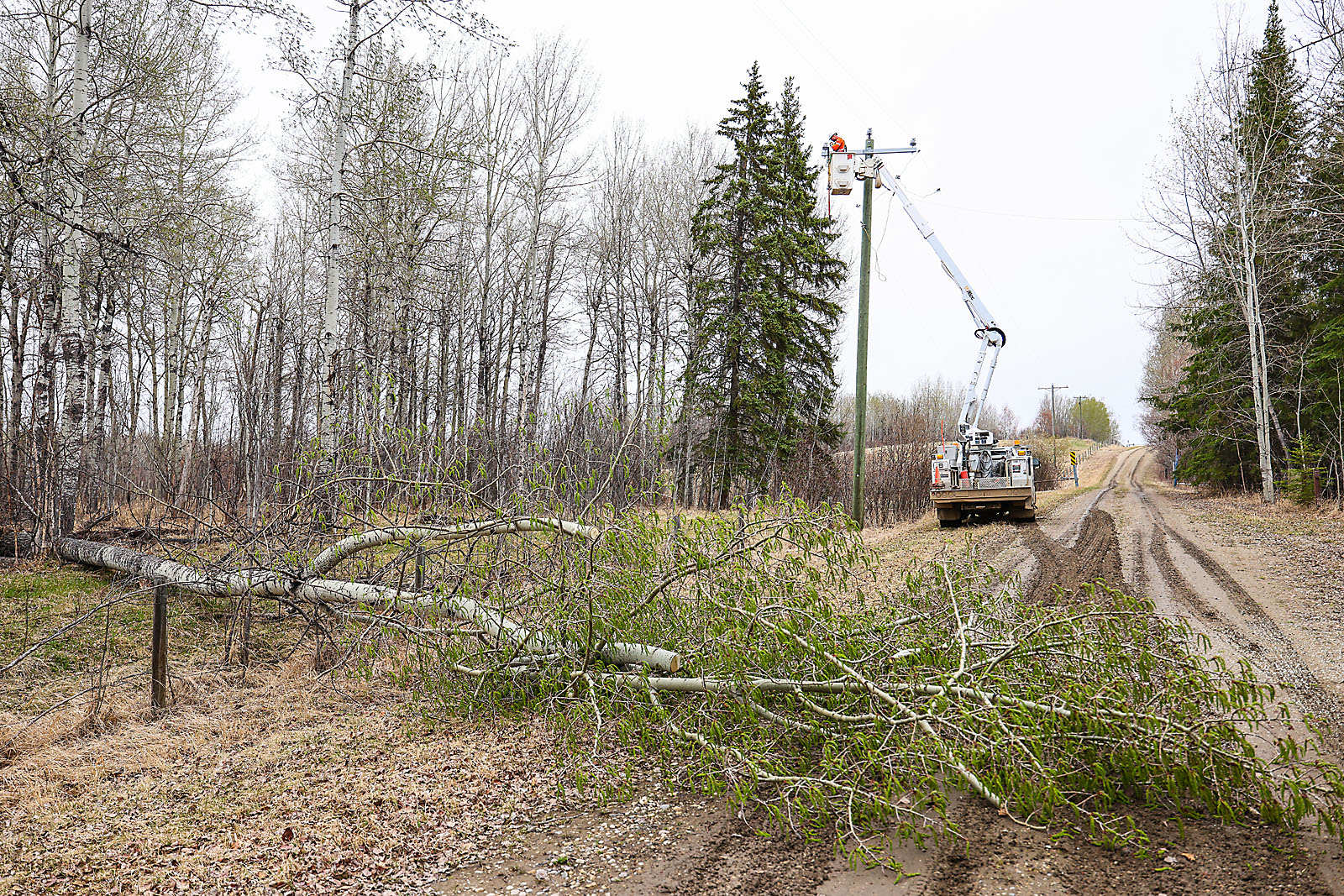 fortis Alberta commercial photographer sergei belski photo
