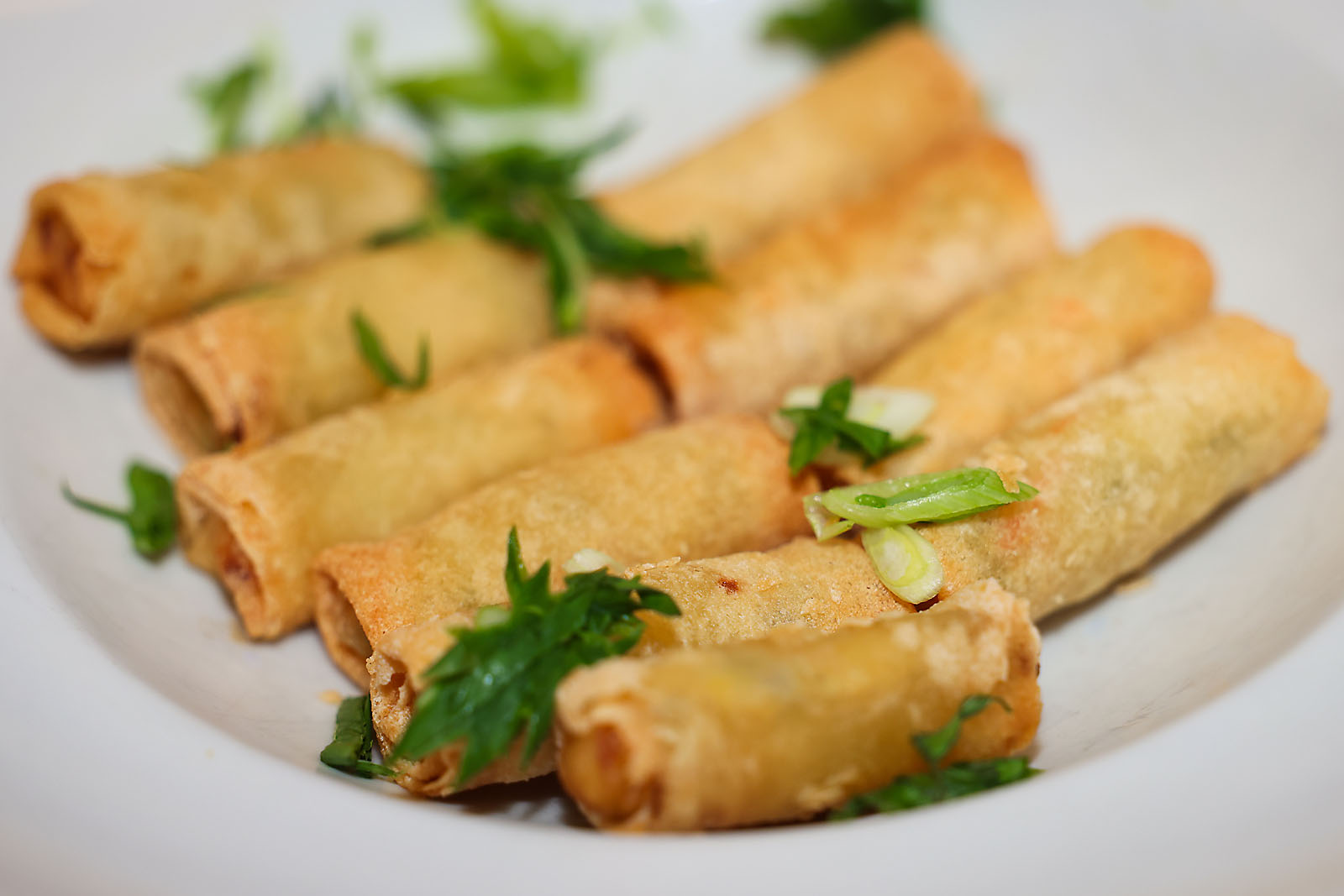 fortis Alberta Edmonton event photographer sergei belski photo