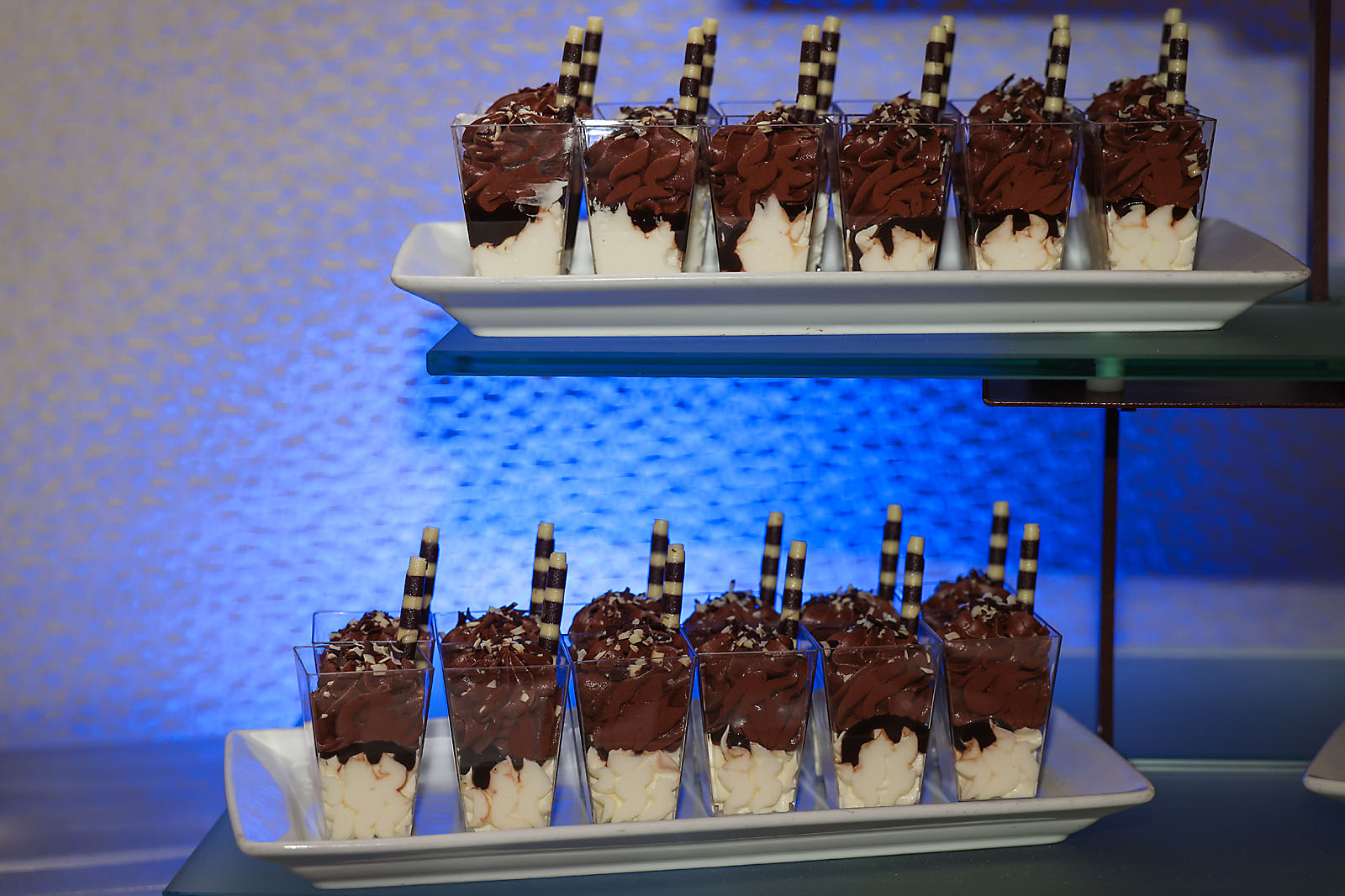 fortis Alberta Edmonton event photographer sergei belski photo