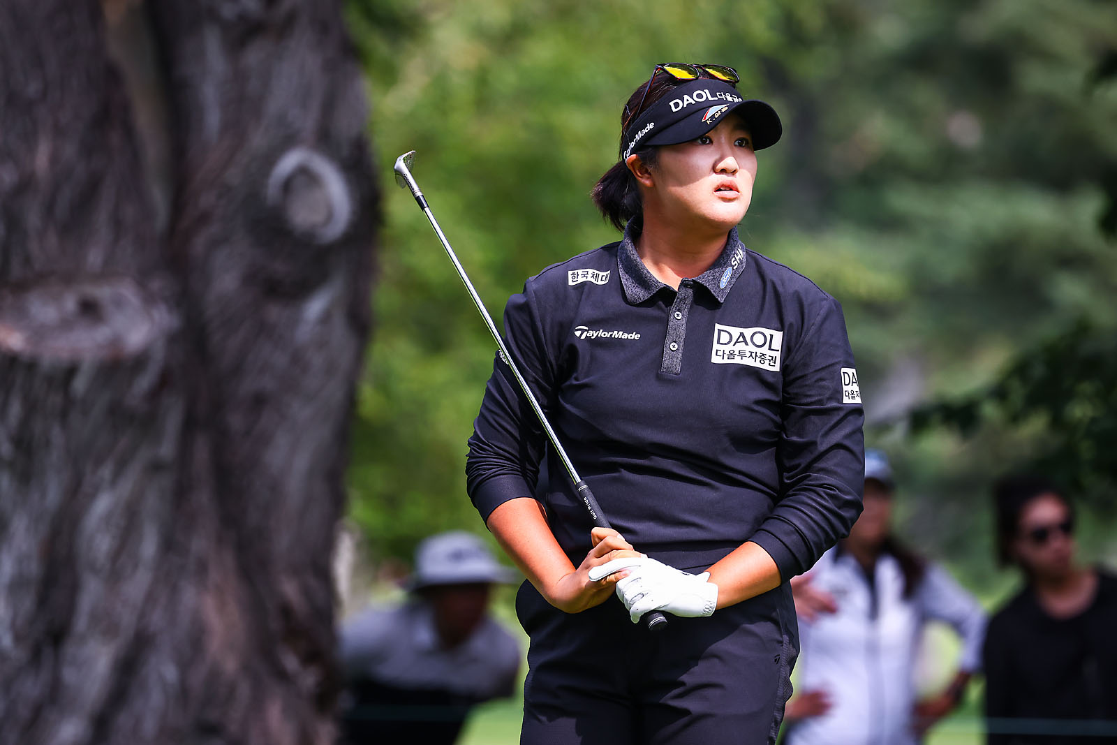 golf sports photographer sergei belski photo