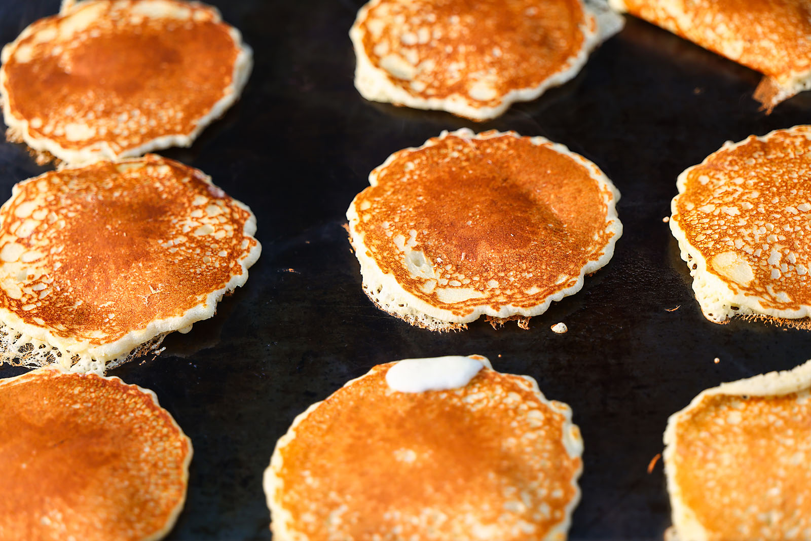 red deer polytechnic event photographer sergei belski photo