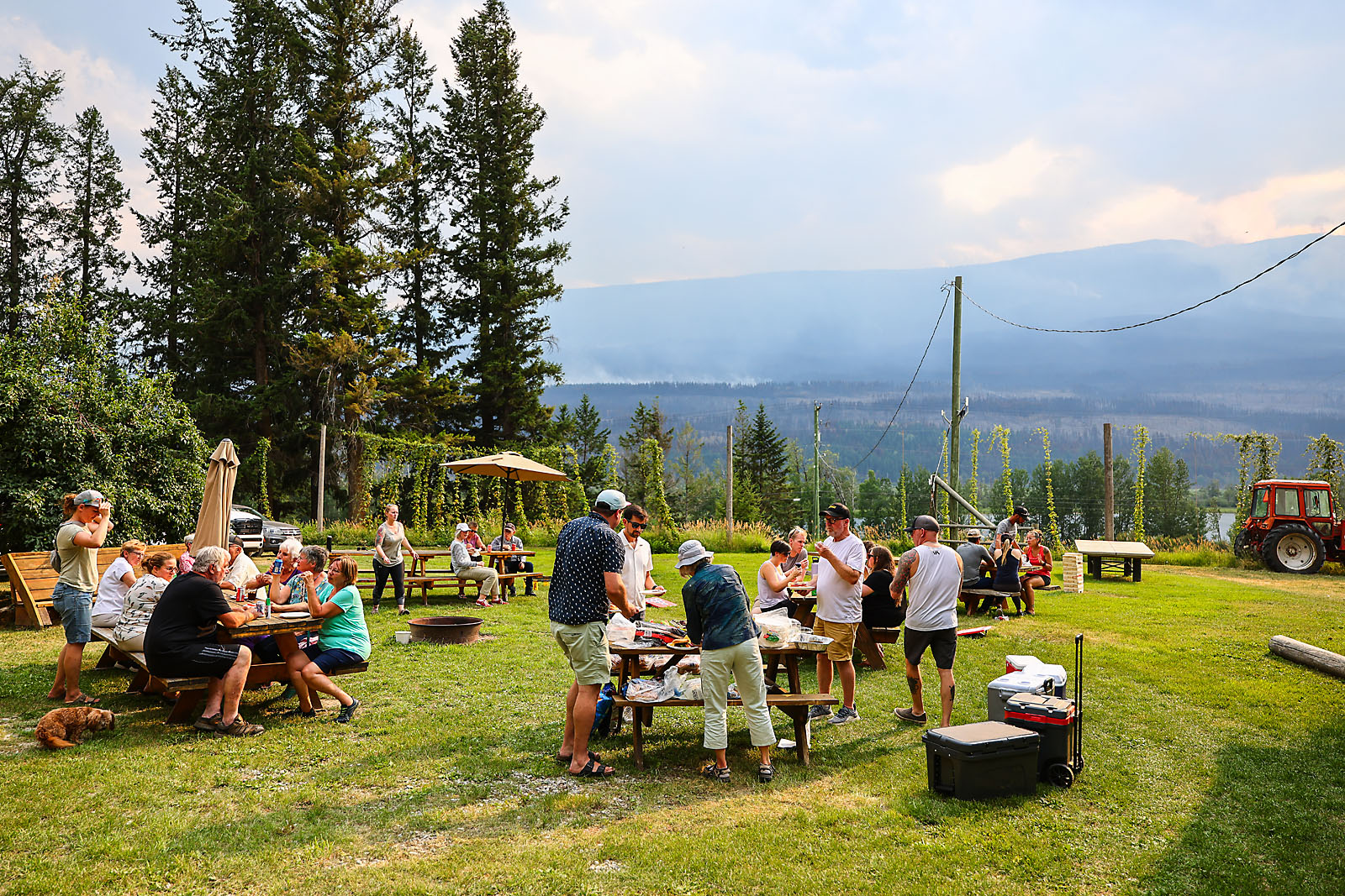 bc golden wedding photographer sergei belski photo