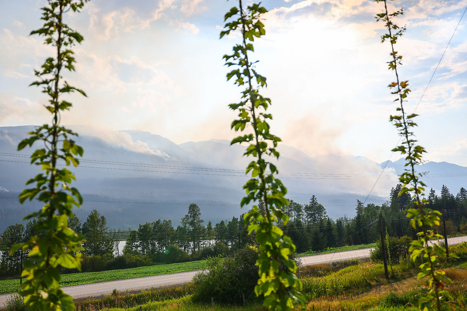 bc golden wedding photographer sergei belski photo