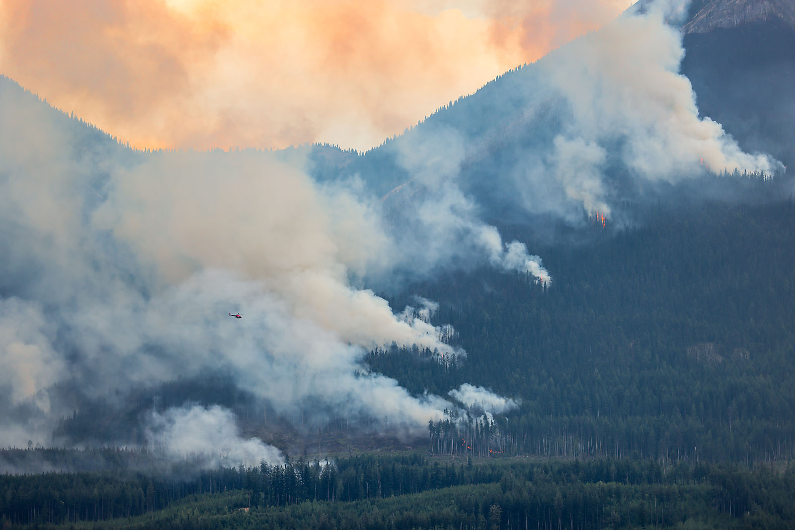 bc golden wedding photographer sergei belski photo