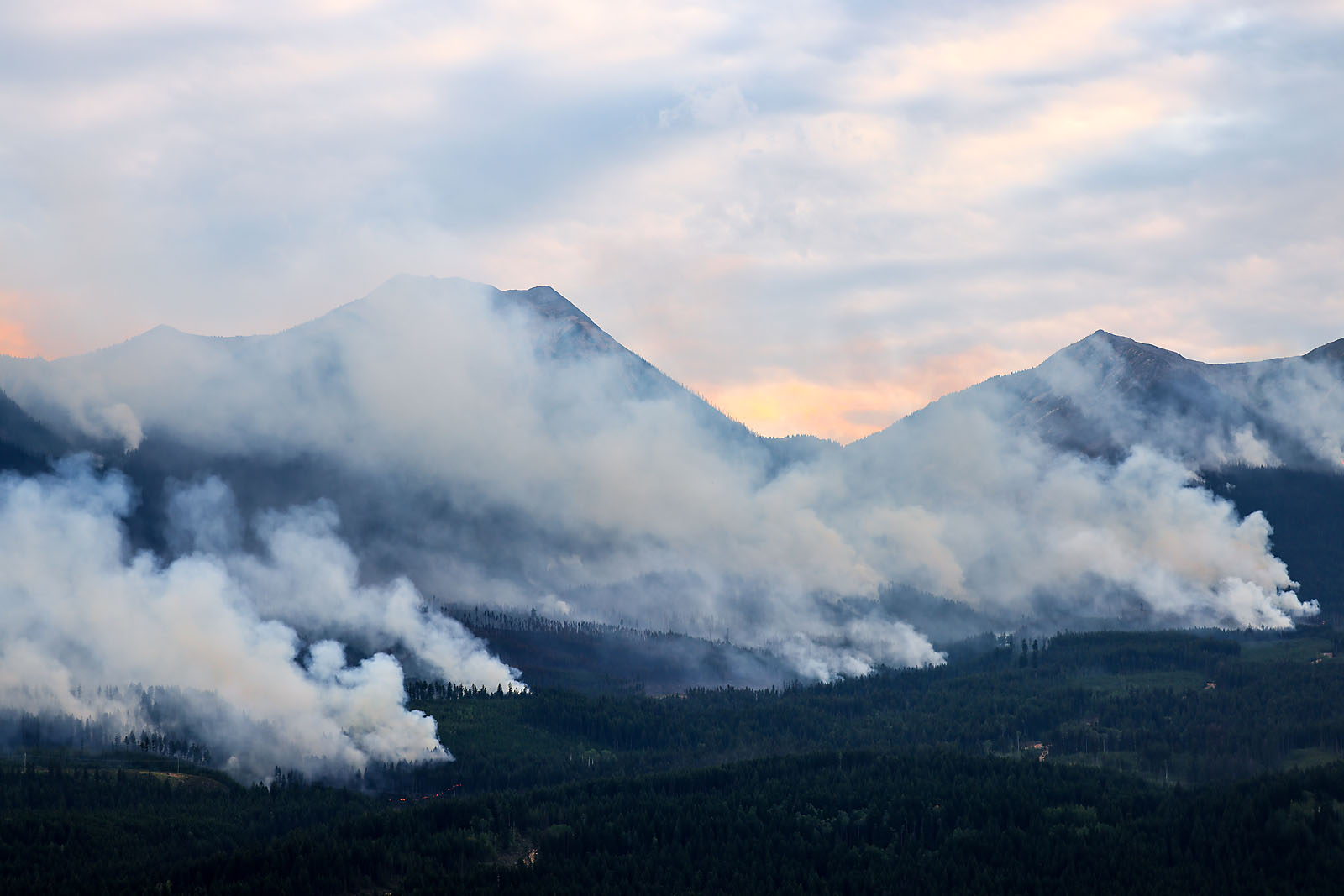 bc golden wedding photographer sergei belski photo