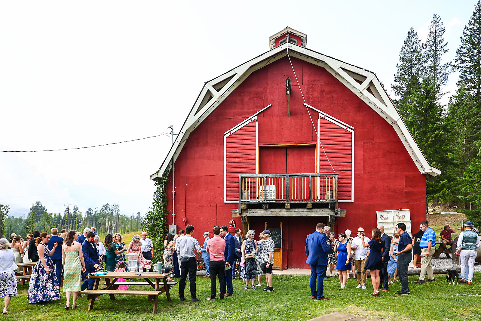bc golden wedding photographer sergei belski photo