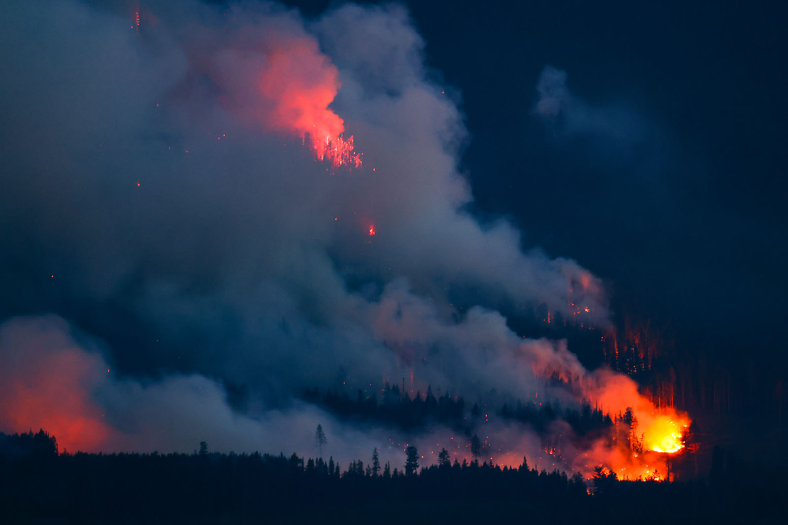bc golden wedding photographer sergei belski photo