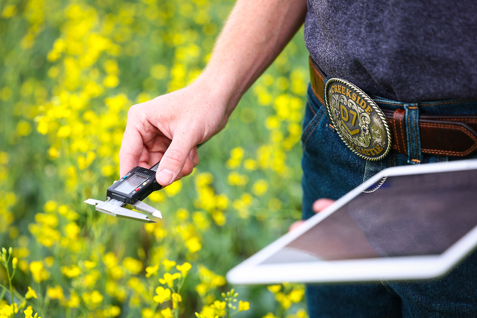 olds college commercial calgary photographer sergei belski photo