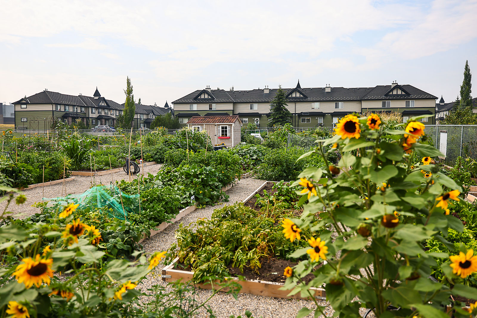 city of airdrie commercial photographer sergei belski photo
