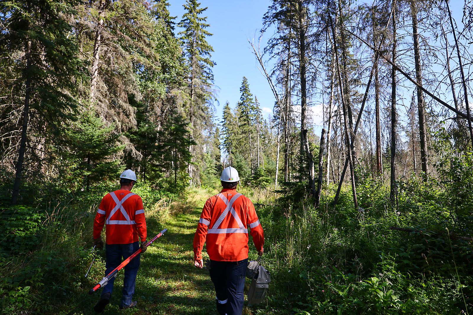 fortis Alberta commercial photographer sergei belski photo