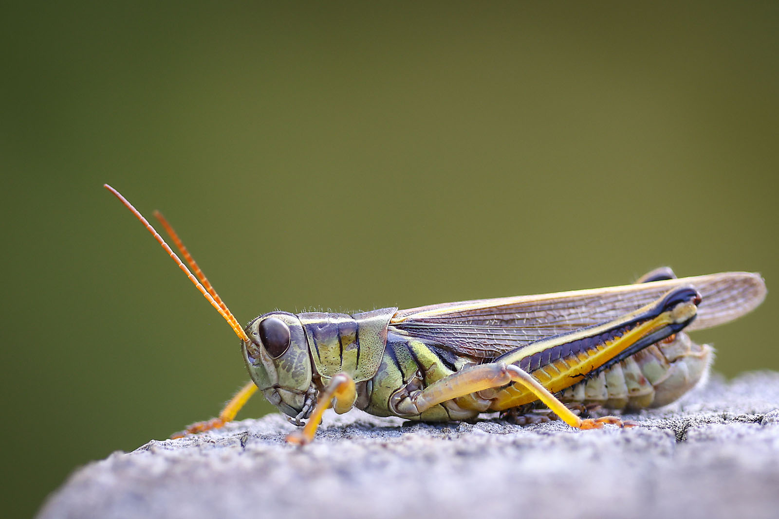 fortis Alberta commercial photographer sergei belski photo