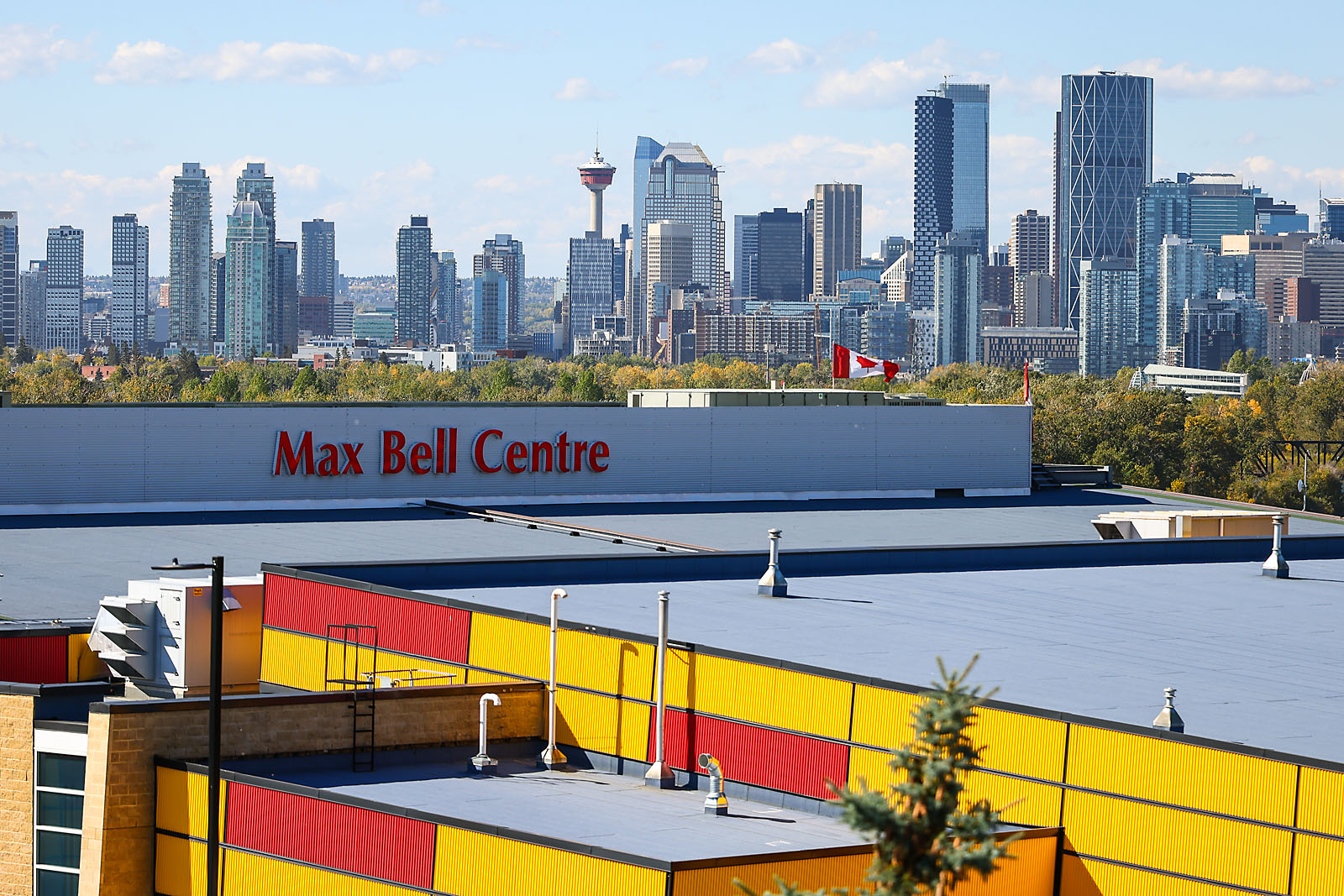 hockey calgary sports photographer sergei belski photo