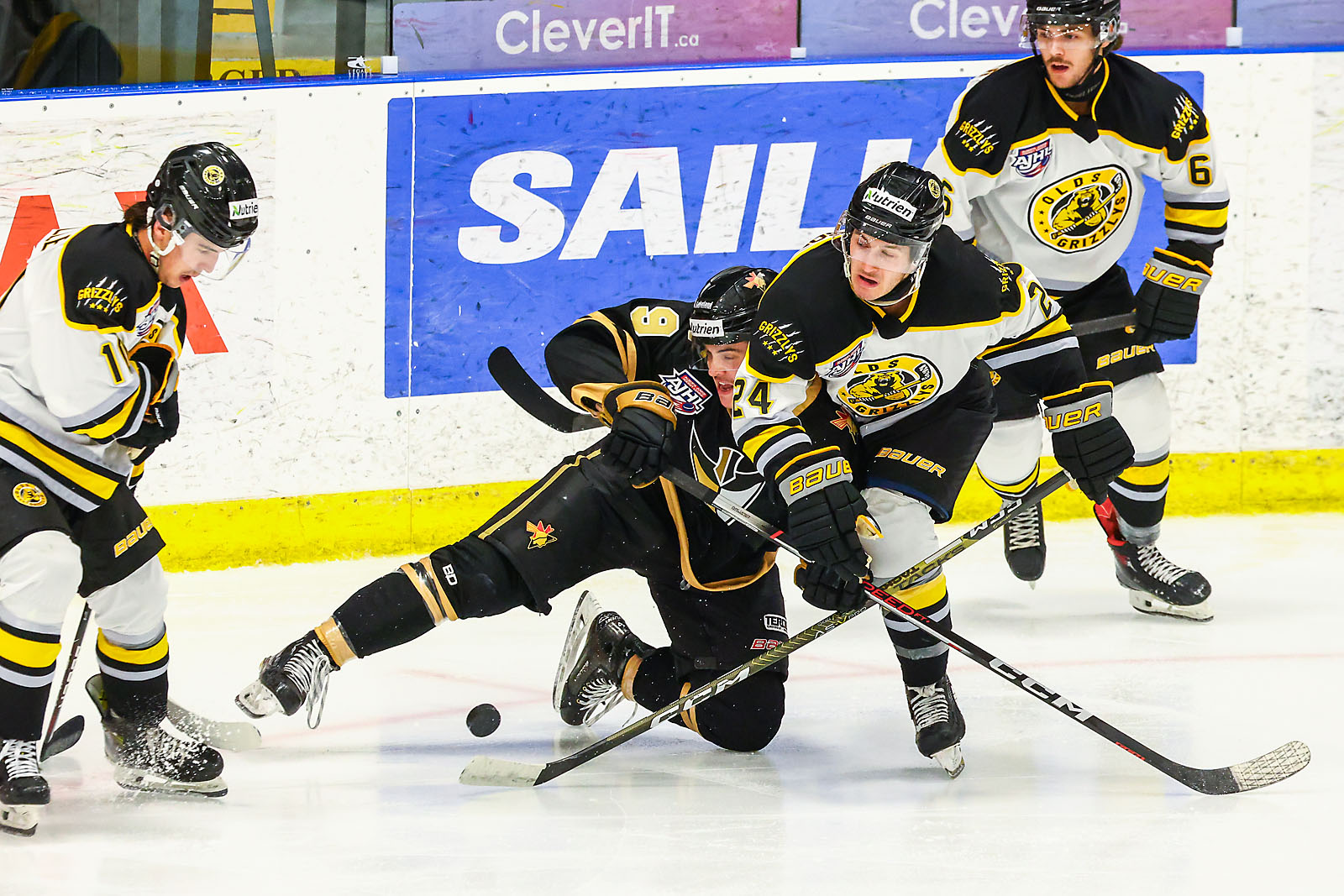hockey calgary sports photographer sergei belski photo