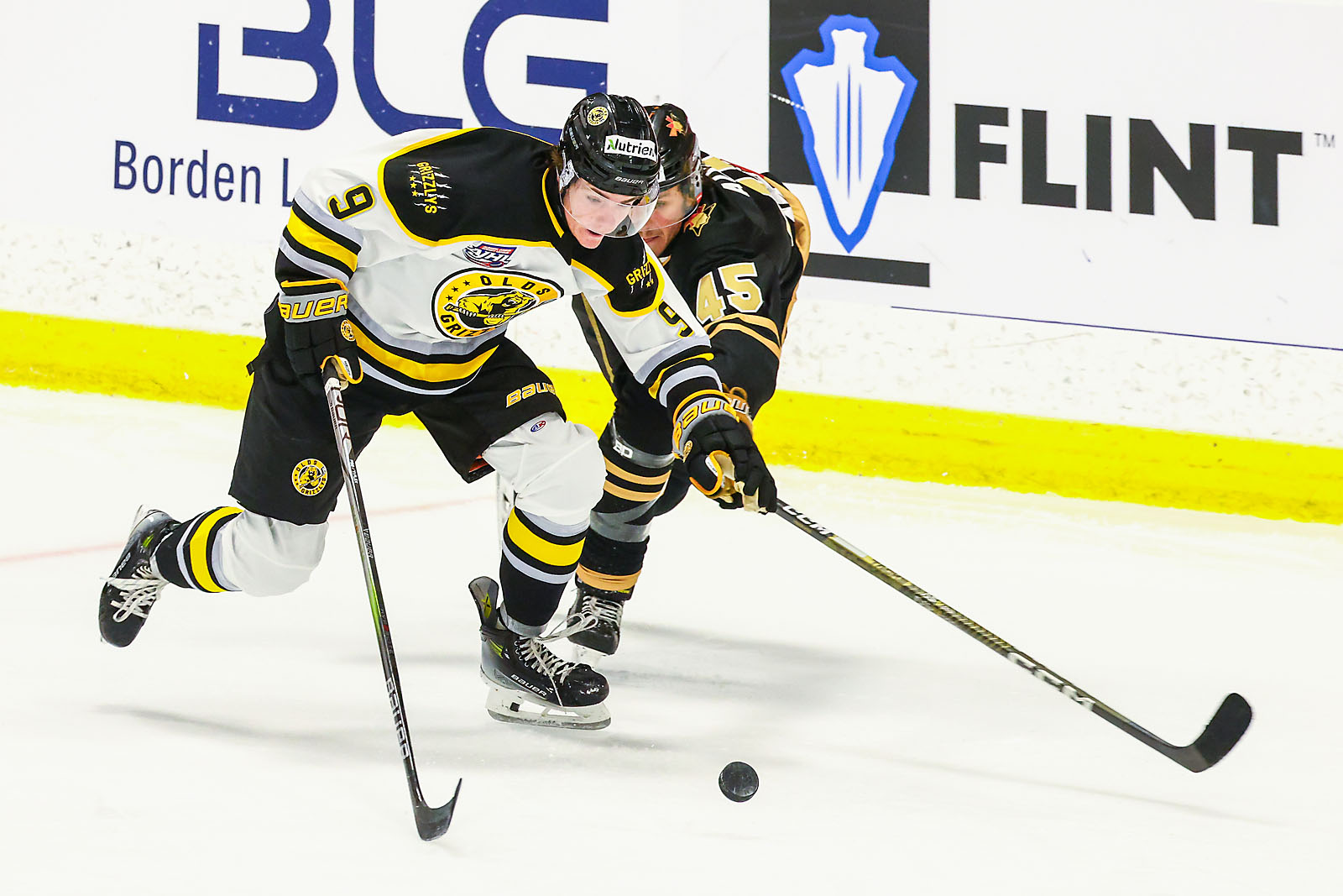 hockey calgary sports photographer sergei belski photo