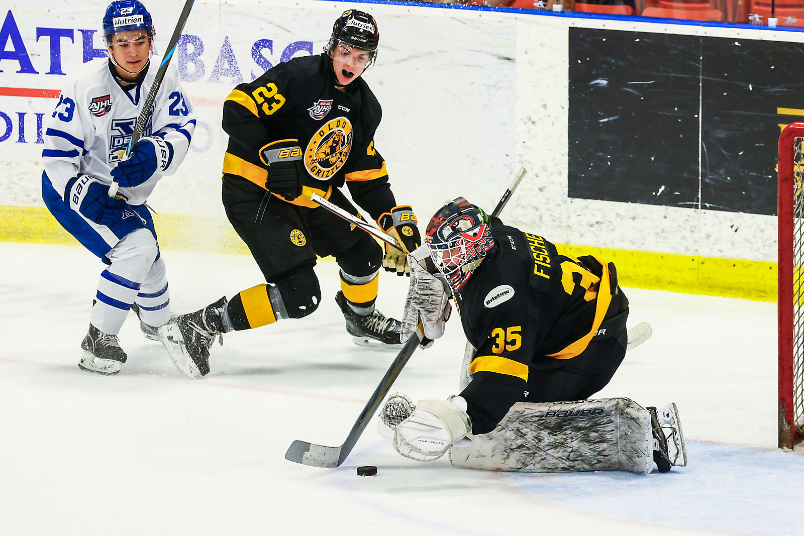 hockey calgary sports photographer sergei belski photo
