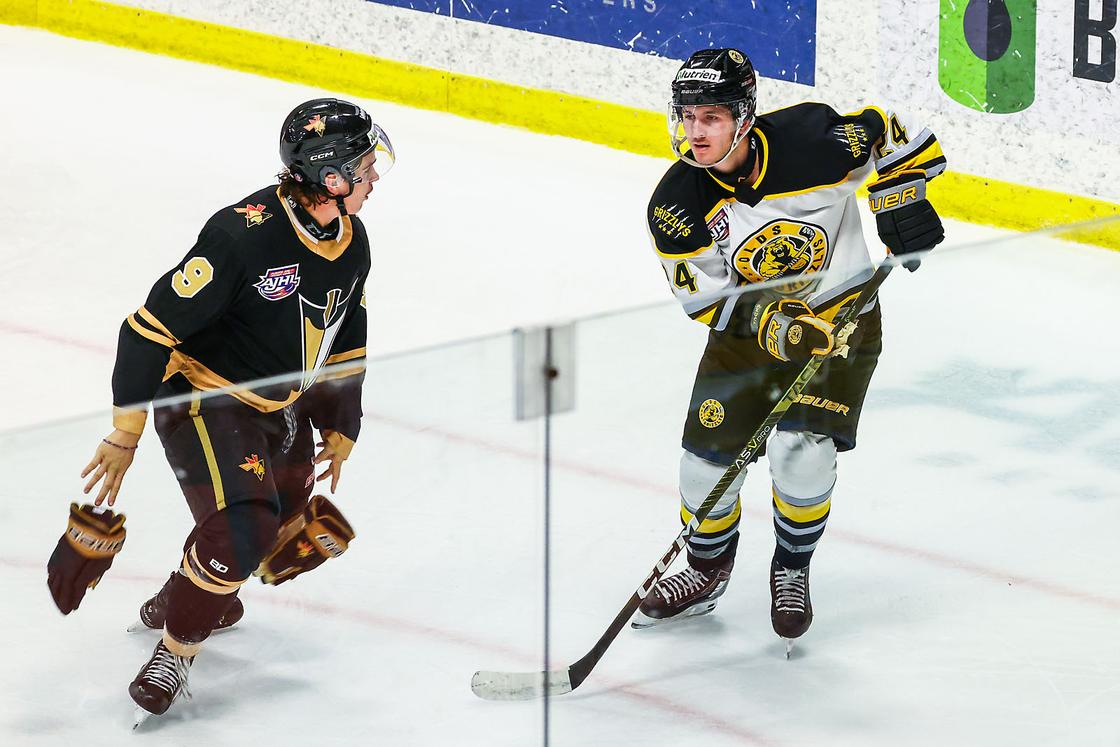 hockey calgary sports photographer sergei belski photo