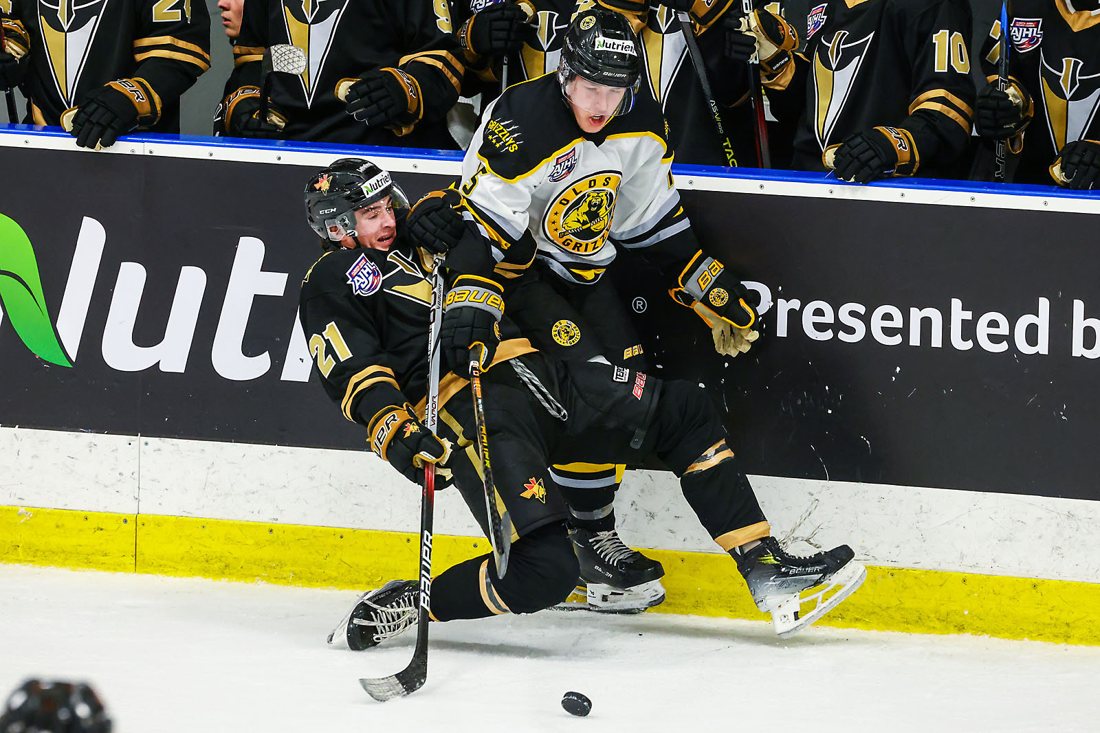 hockey calgary sports photographer sergei belski photo