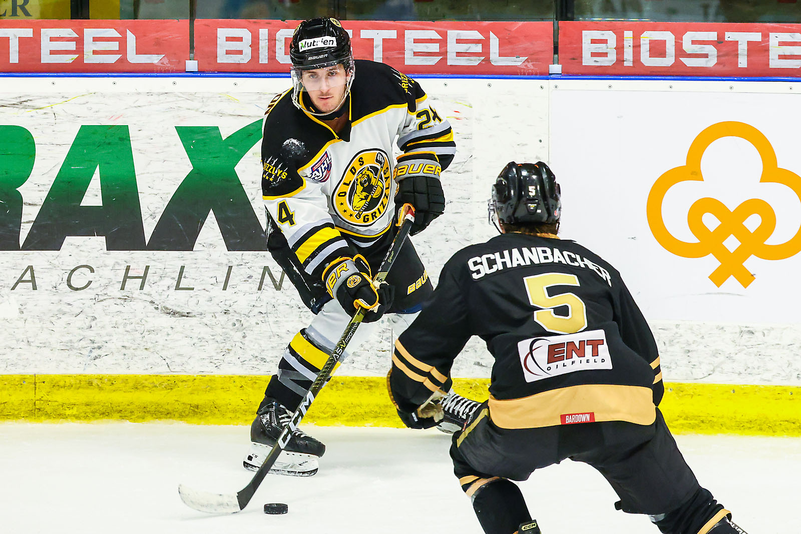 hockey calgary sports photographer sergei belski photo