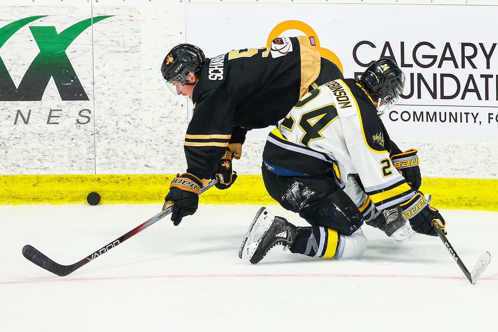 hockey calgary sports photographer sergei belski photo