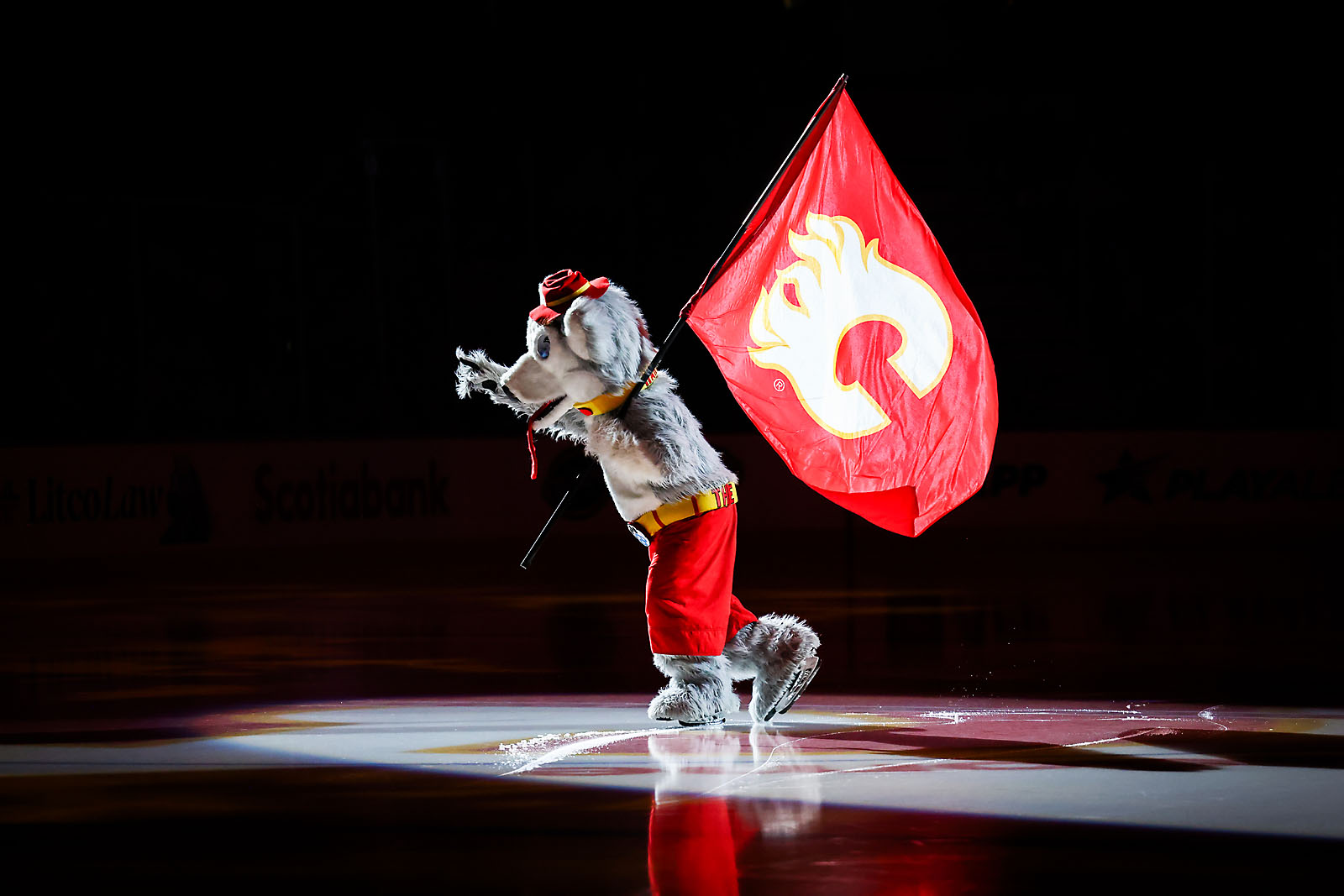 nhl hockey Calgary Flames sports photographer sergei belski photo