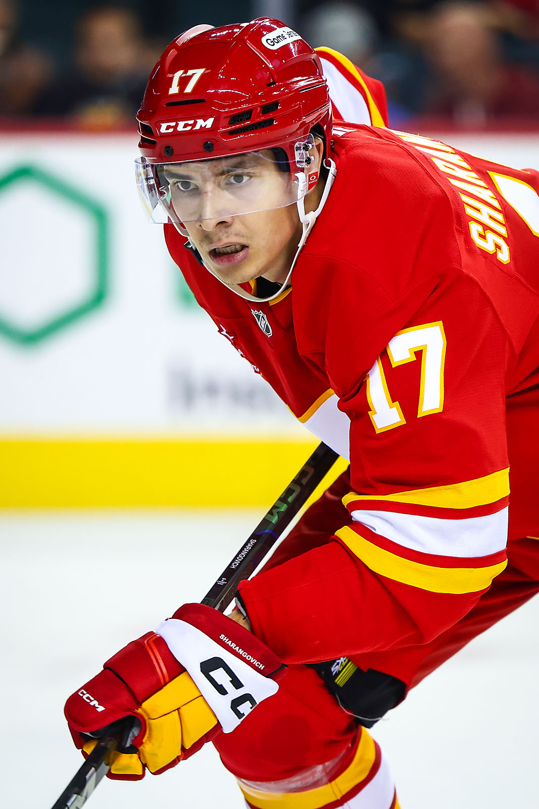 nhl hockey Calgary Flames sports photographer sergei belski photo