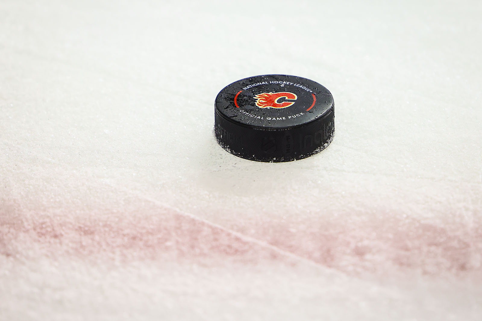 nhl hockey Calgary Flames sports photographer sergei belski photo