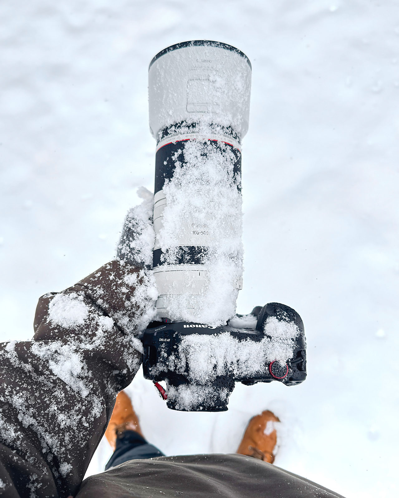 calgary zoo wildlife photographer sergei belski photo