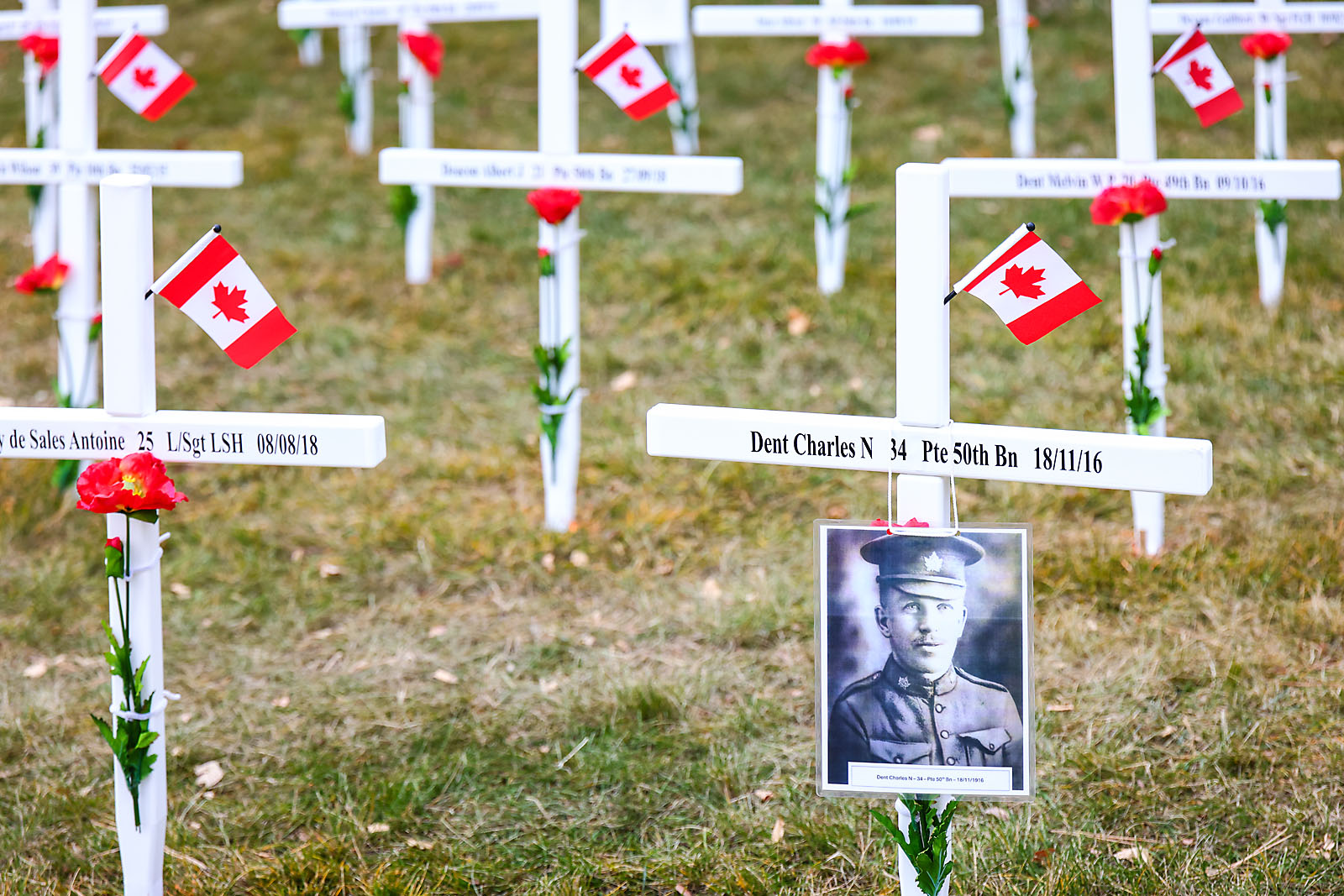 STMU calgary event photographer sergei belski photo