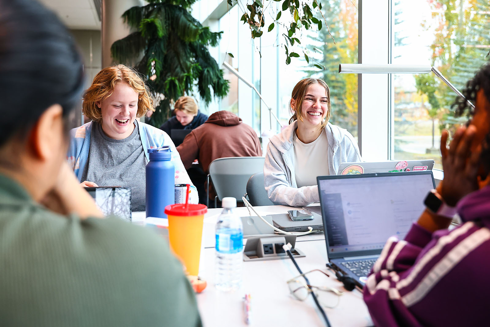 red deer polytechnic commercial photographer sergei belski photo