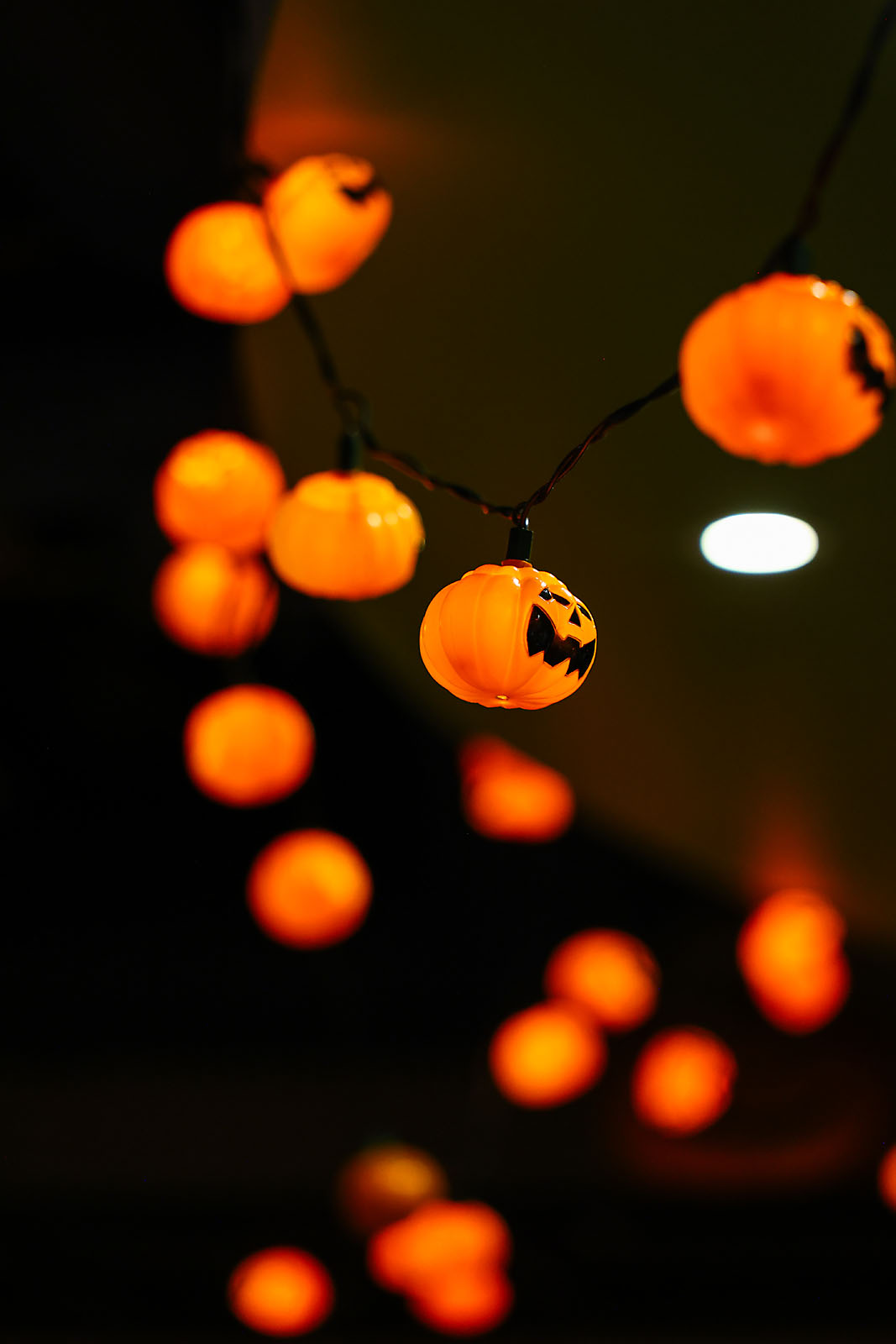 red deer polytechnic commercial photographer sergei belski photo